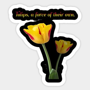 Tulips, A Force of their own by Cecile Grace Charles Sticker